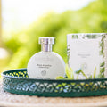 Brume de parfum - Thé vert - Découverte du Fujian