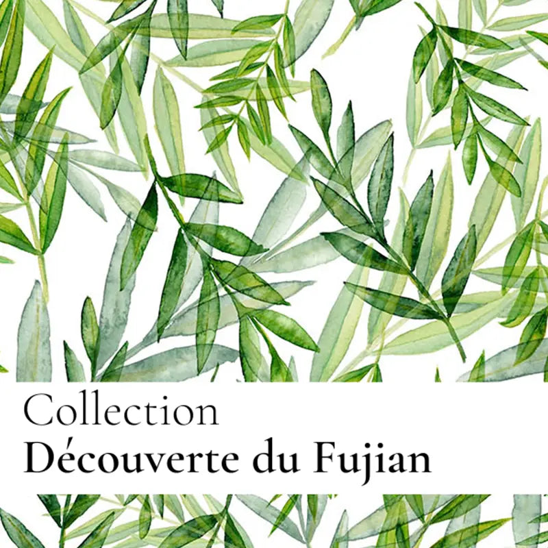 Huile satinante de beauté -  Thé vert - Découverte du Fujian